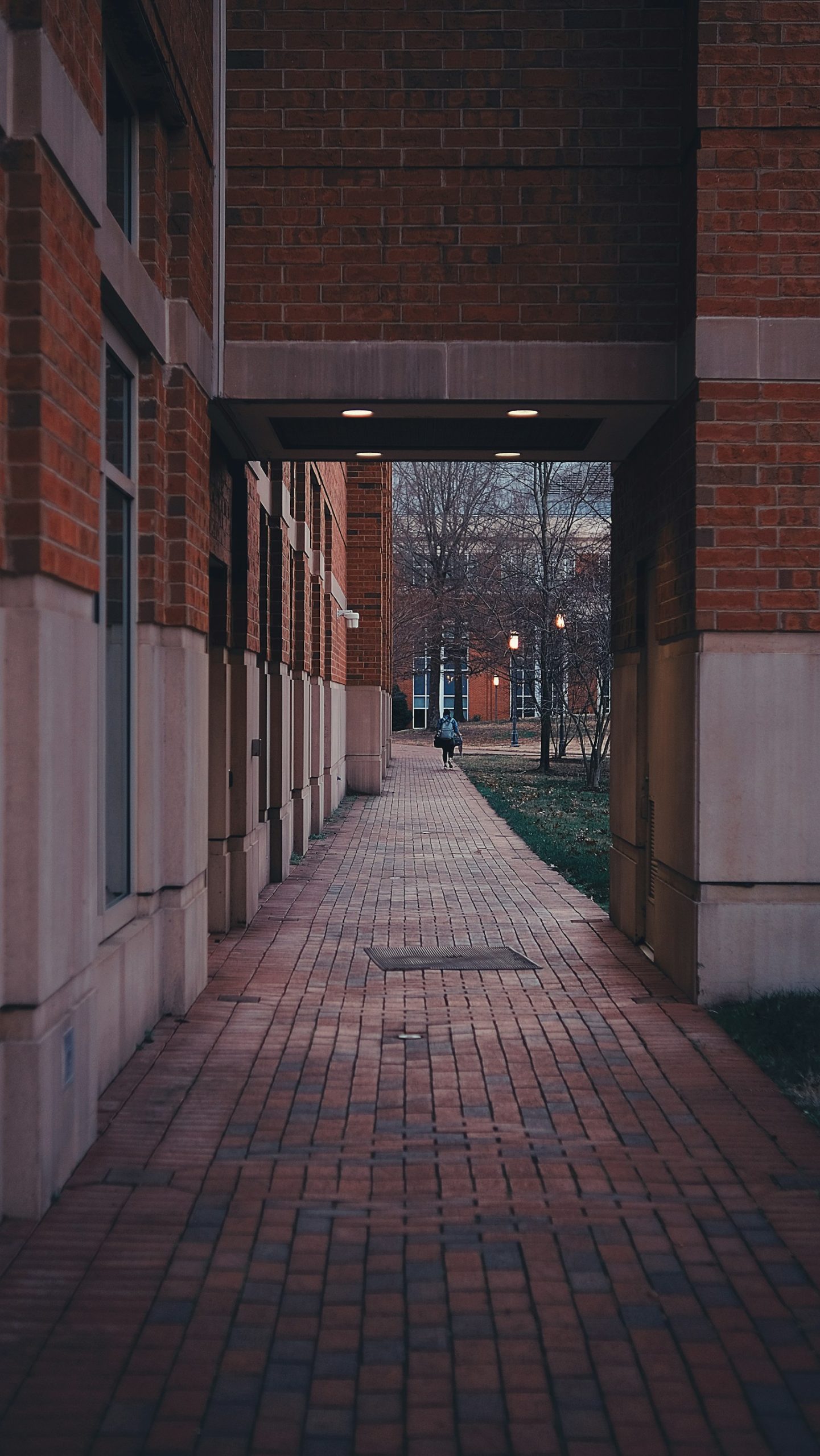 Allée de briques sur un campus américain — illustration